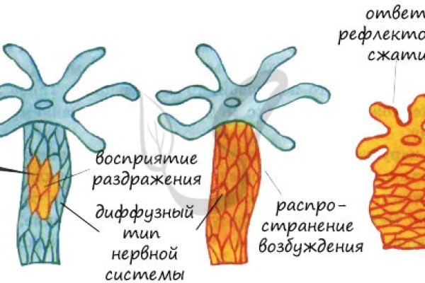 Kraken сайт kraken torion