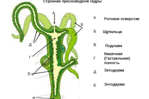 Как зайти на кракен с компа