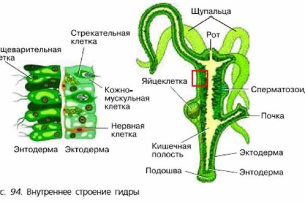 Кракен сайт официальный kraken014 com